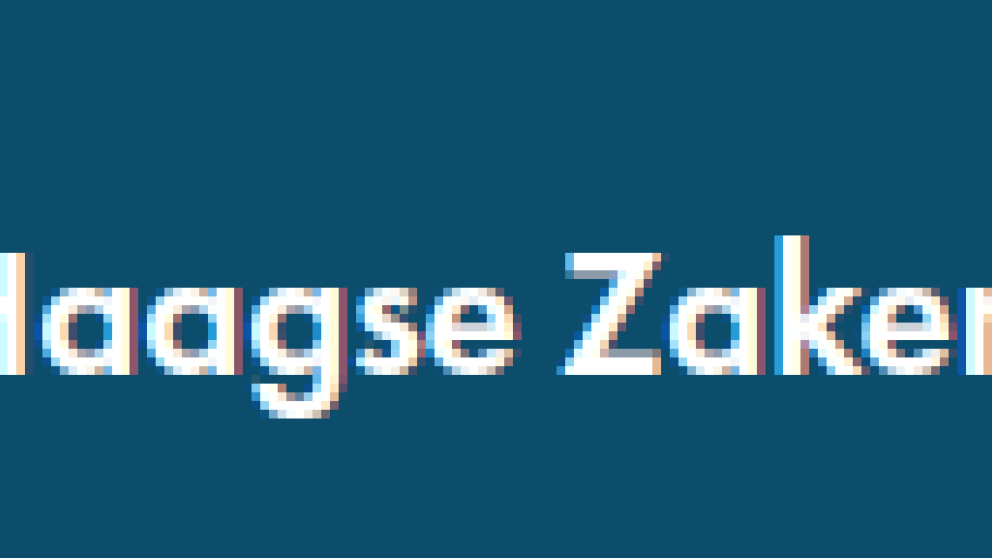 Haagse zaken
