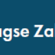 Haagse zaken