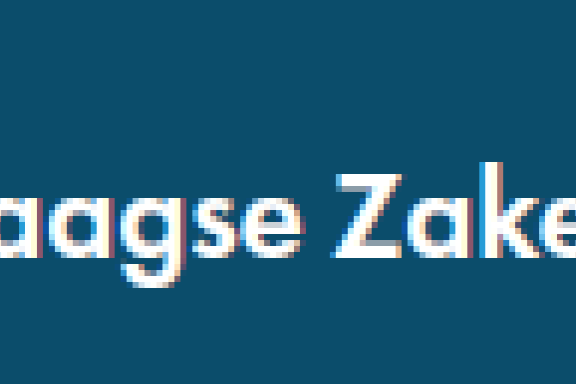 Haagse zaken